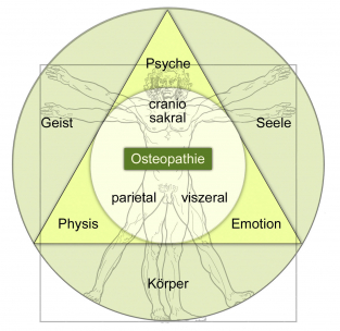Osteopathie-Bereiche.jpg