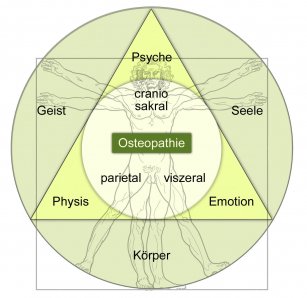 Osteopathie-Bereiche.jpg
